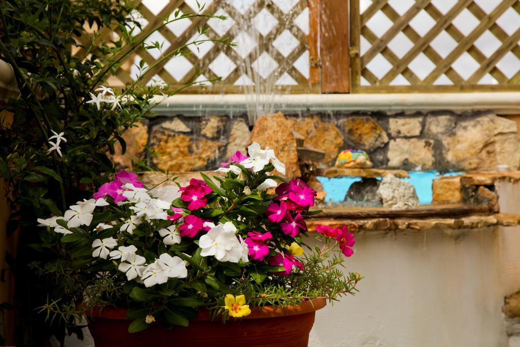 Bed and Breakfast Bonjour Morciano di Leuca Exterior foto