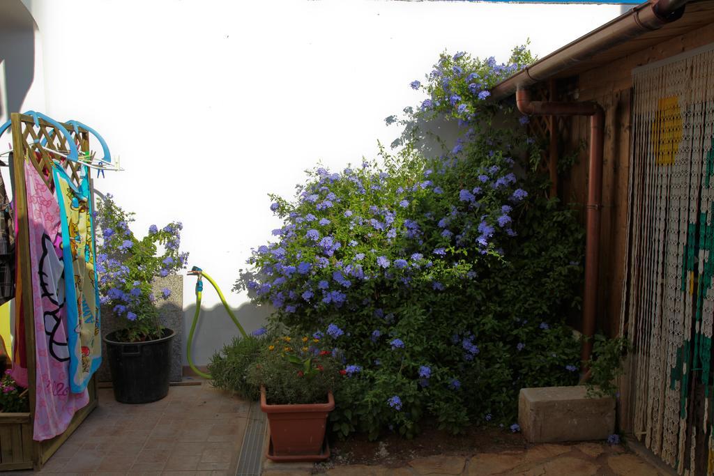 Bed and Breakfast Bonjour Morciano di Leuca Zimmer foto