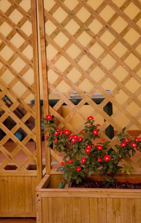 Bed and Breakfast Bonjour Morciano di Leuca Exterior foto